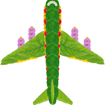 PalUpNow! Flights accessible sign-ups