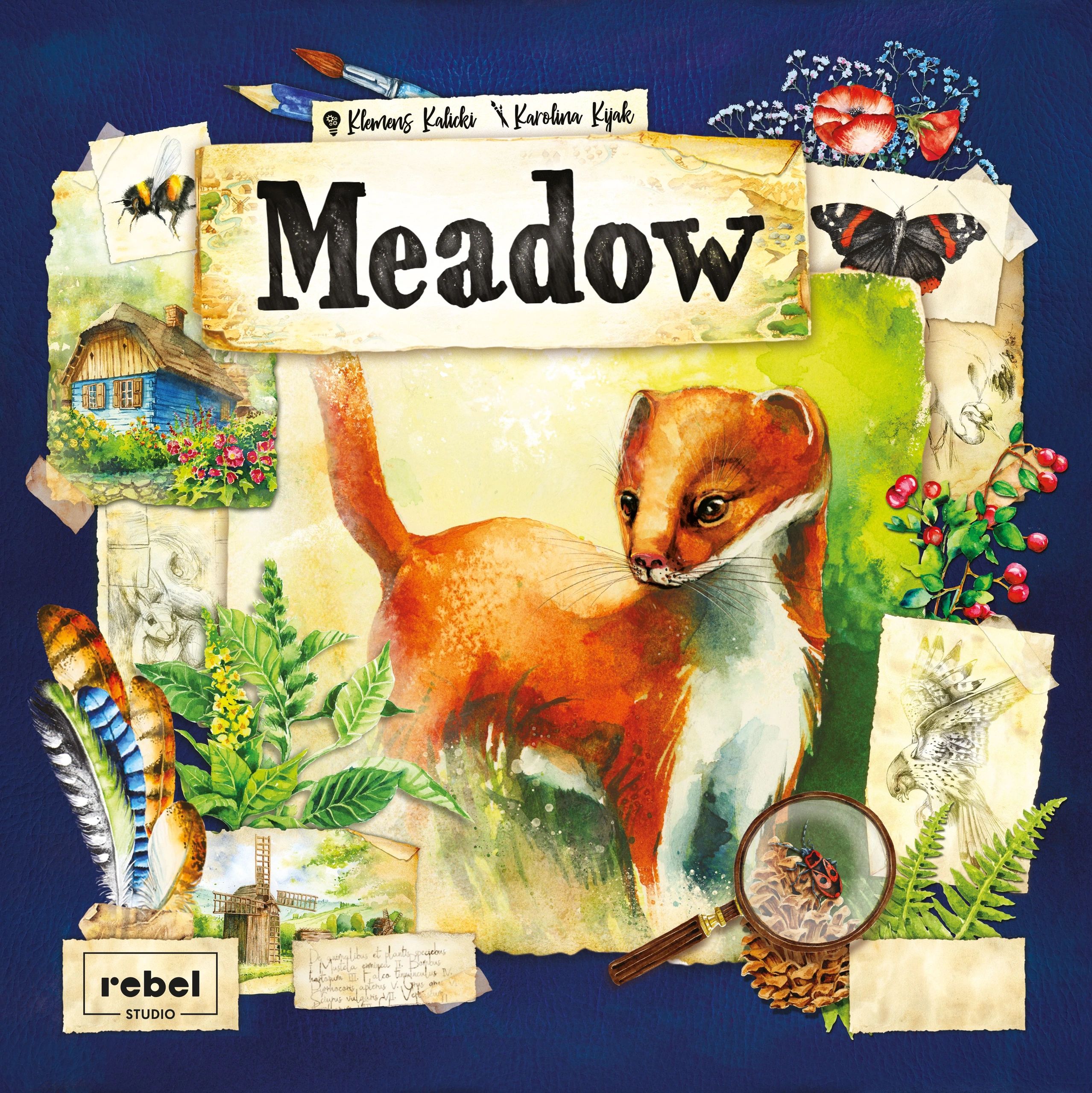 Meadow (Inglés)