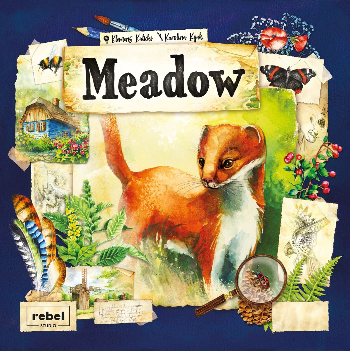 Meadow en ingles