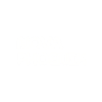 Nova Phoenix Group FZCO