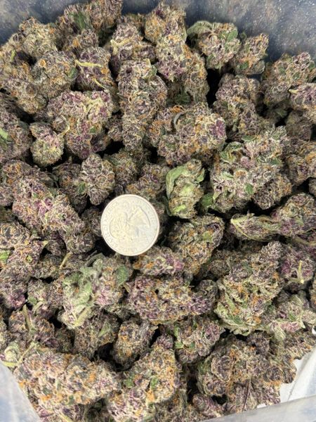 Purple Gas