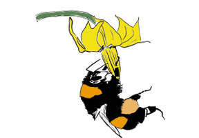 Bumbee Gardening & Landscapes