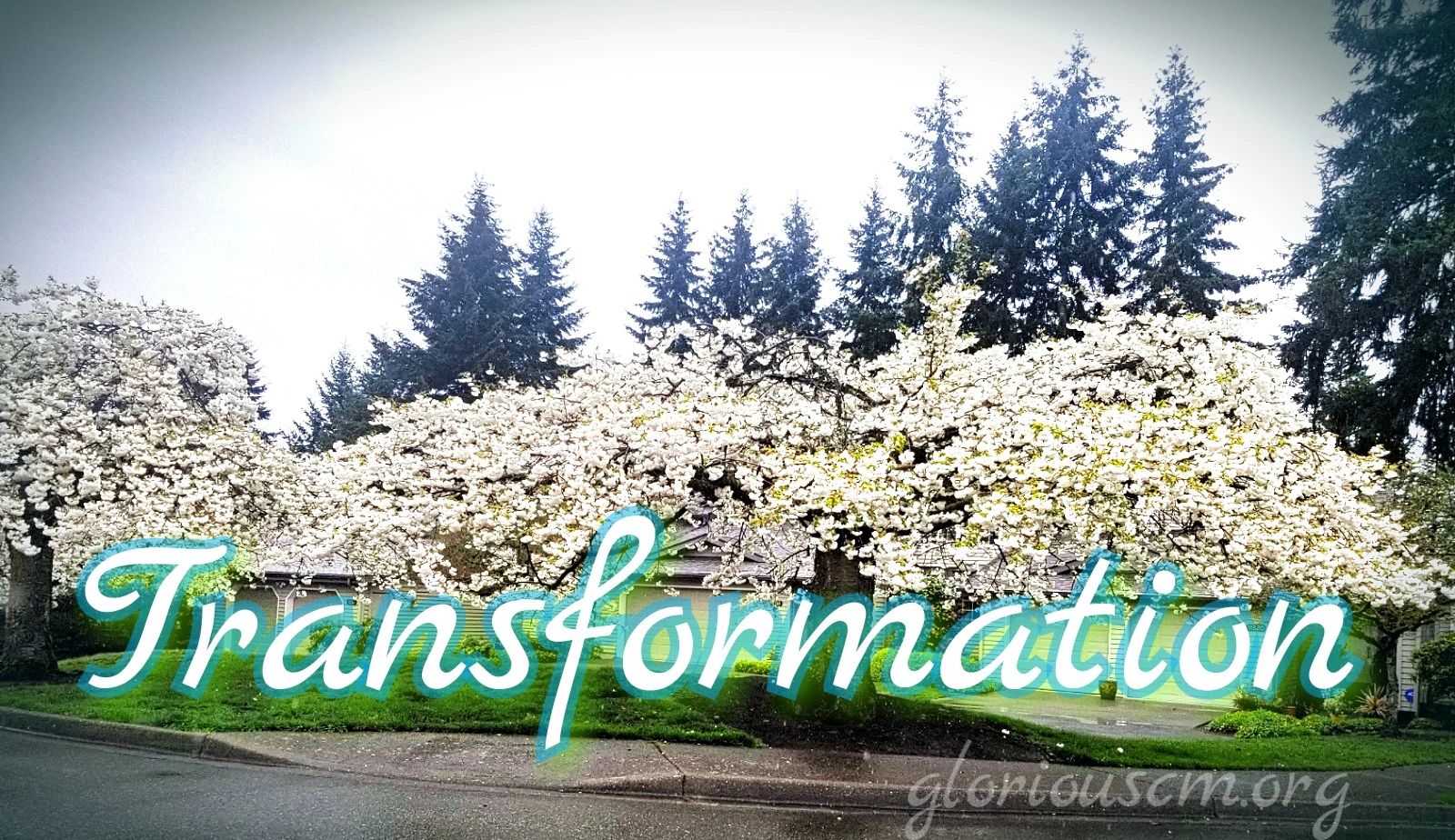曆Transformation曆