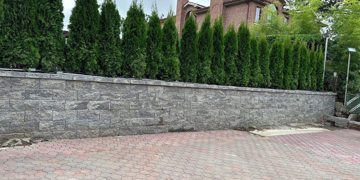 Tall green trees lined behind a stone retaining wall in a residential area.