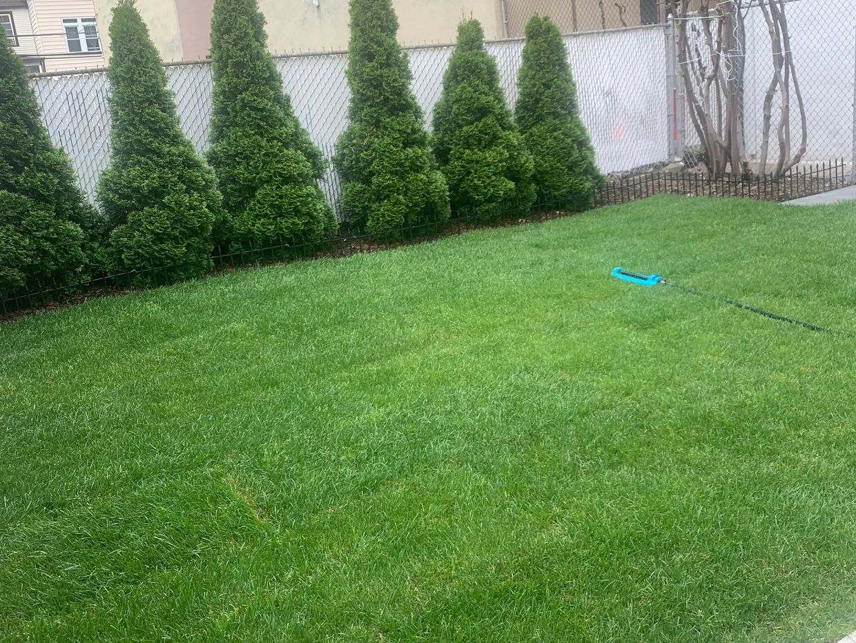 Our teams provide the highest-quality sod  installation and paver patio installation