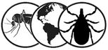 Von Fricken Consulting Services