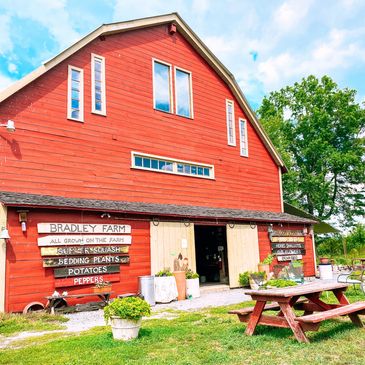 new paltz farms near me