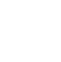 Pines Over Palms