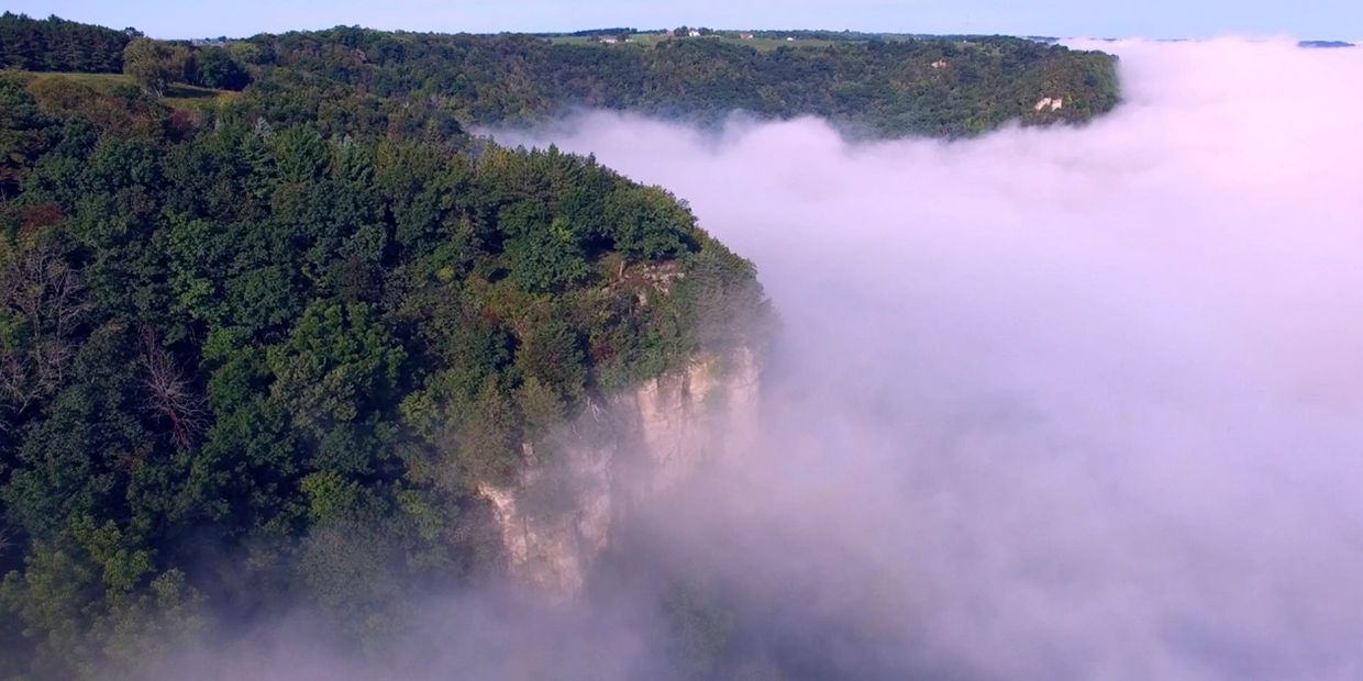 Lush forested cliffs partially covered by dense fog on a clear day.