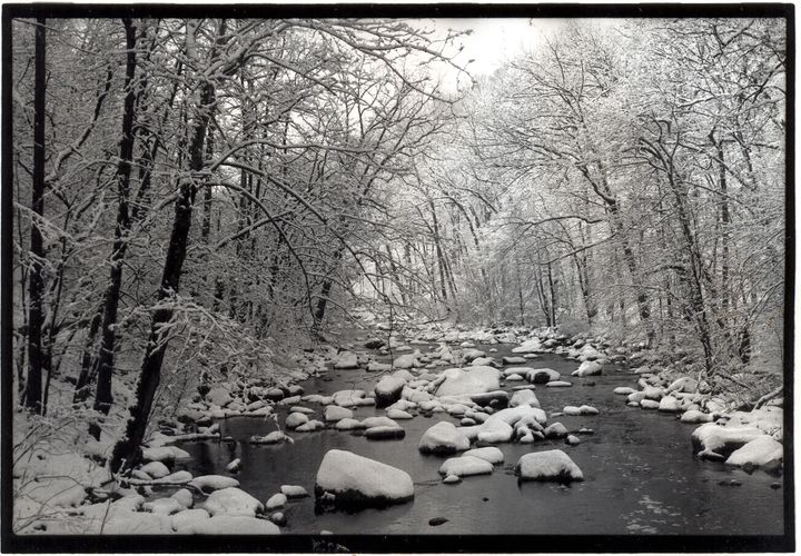 Rock Creek Park by Dr. Jeffrey J. Fearing. All rights reserved