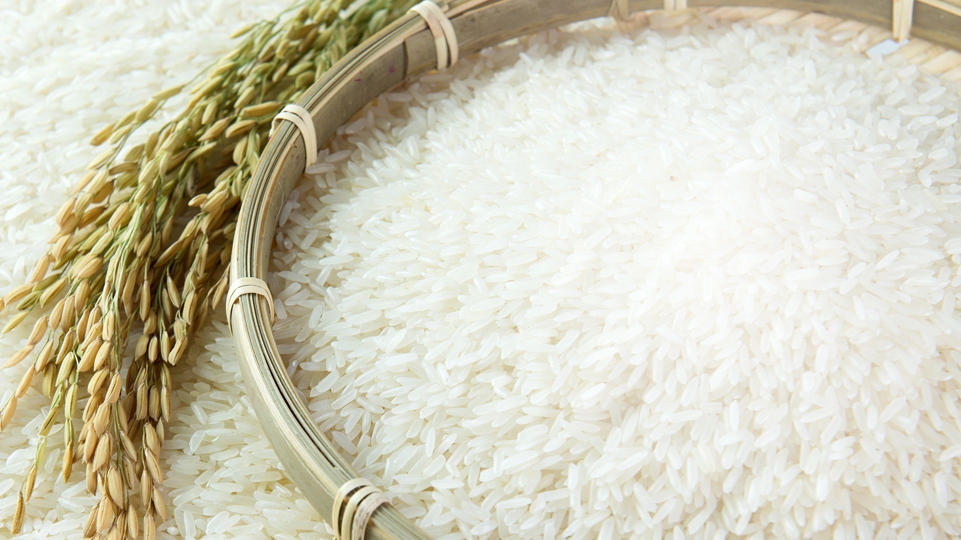 Export Quality Rice: The Finest 1401 Steam Basmati Rice Supplier