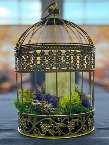Decorative vintage birdcage with colorful moss inside.