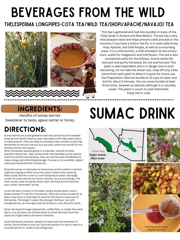 Easy Sumac Tea Recipe 2023 AtOnce