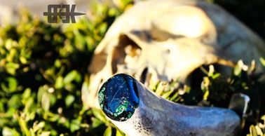 Human skull in background, hand forged knife blade plunged into a bush, endcap has precious stone