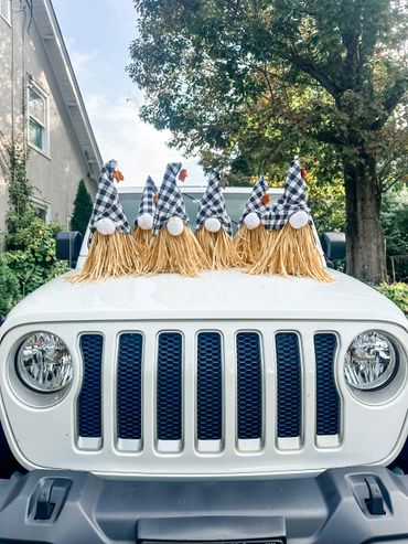 A picture of grass decorated with hats on the car 