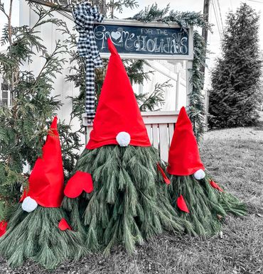 A picture of christmas trees decorated with hat 