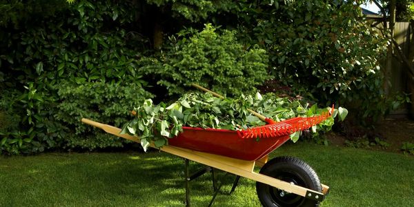 A red wheelbarrow filled with green garden trimmings and a rake.