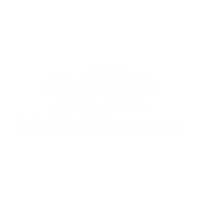 Raven Drones