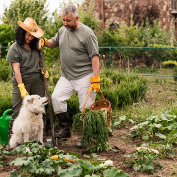 Couple gardening with their fluffy white dog in a lush vegetable garden.