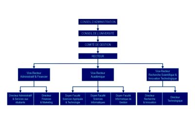 Organigramme de la structure universitaire avec différents vice-recteurs.