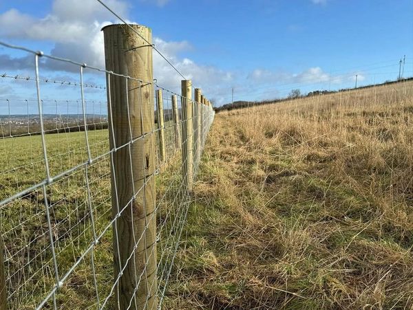 Boundary fencing that has been installed by Stevie Fairless in Northumberland