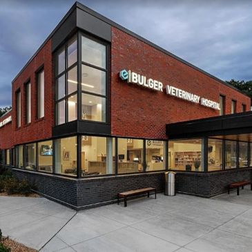 Modern veterinary hospital building at dusk.