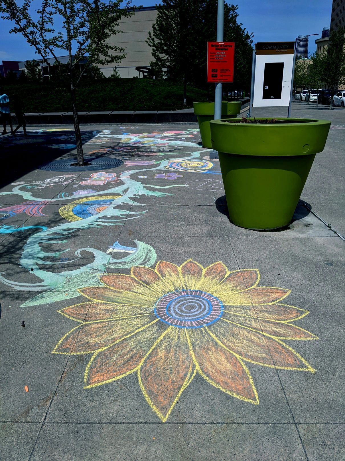 Village Vine Chalk Jam- led the public in a collaborative, temporary mural design. Chalk in asphalt.