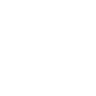 Raw Honey Co.
