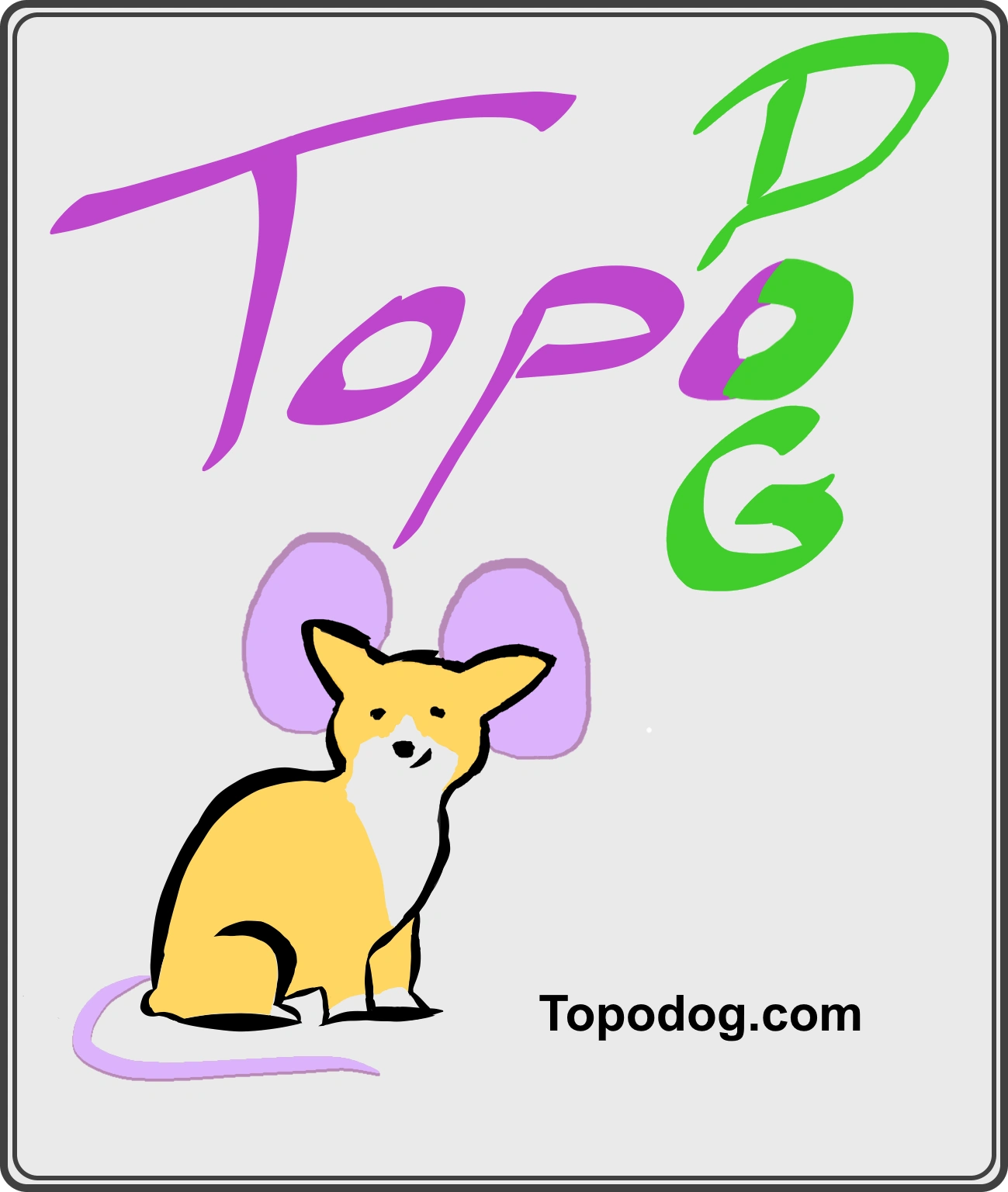 Topodog.com