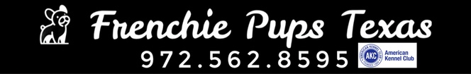 Frenchie Pups Texas
       972.562.8595