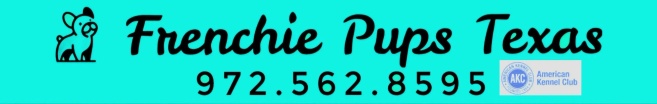 Frenchie Pups Texas
       972.562.8595