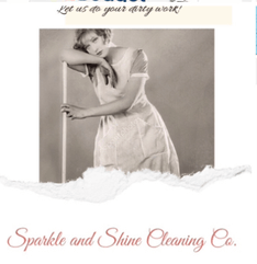Sparkle and Shine Cleaning Co Inc