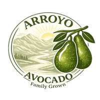 Arroyo Avocado