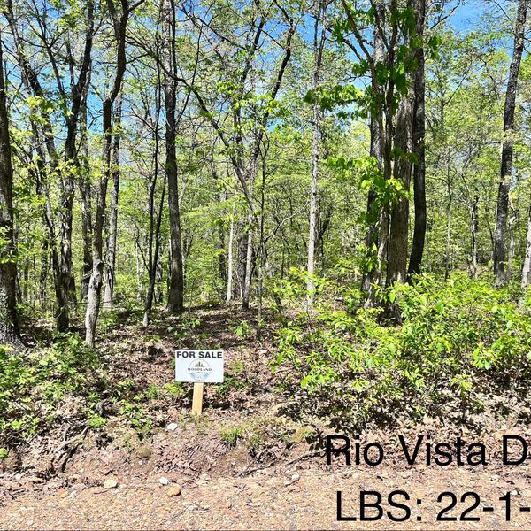 Wooded land for sale with a clear sky and green foliage.