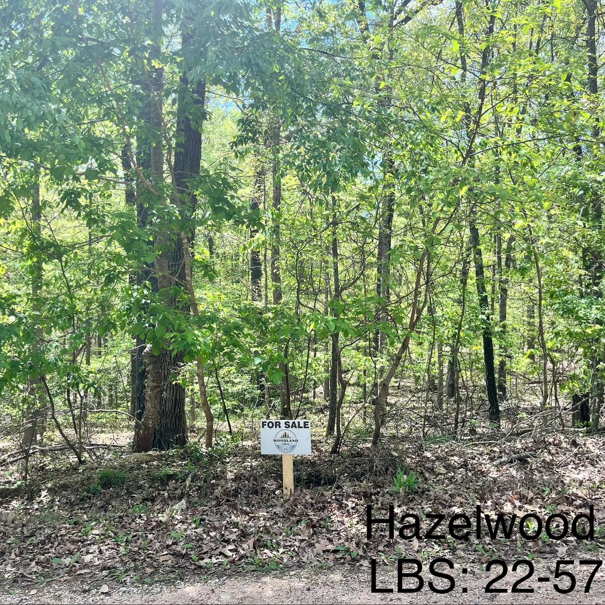 Wooded land for sale with a sign posted among trees.