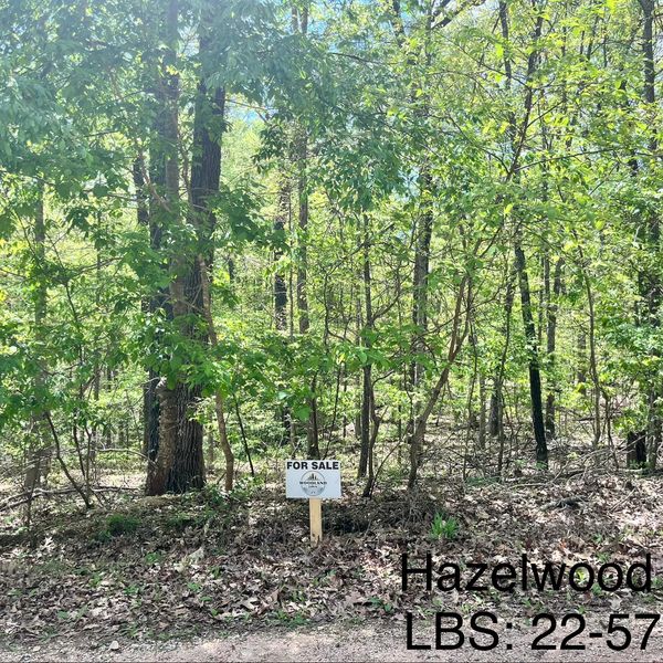 Wooded land for sale with a sign posted among trees.