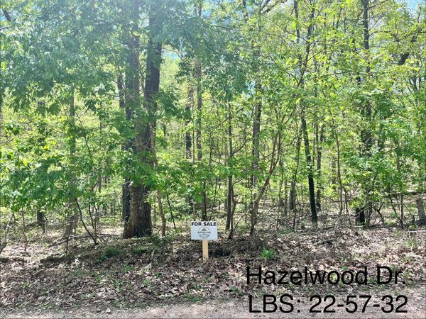 Wooded land for sale on Hazelwood Dr with dense trees and greenery.