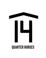 
 Quarter Horses