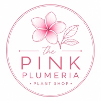 thepinkplumeria.com