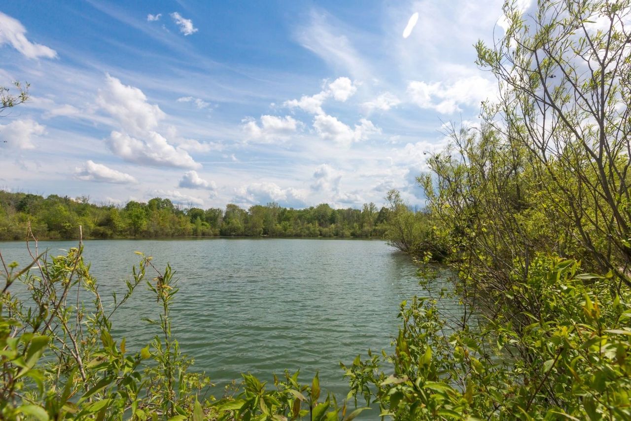 Hawthorn Pond Natural Area