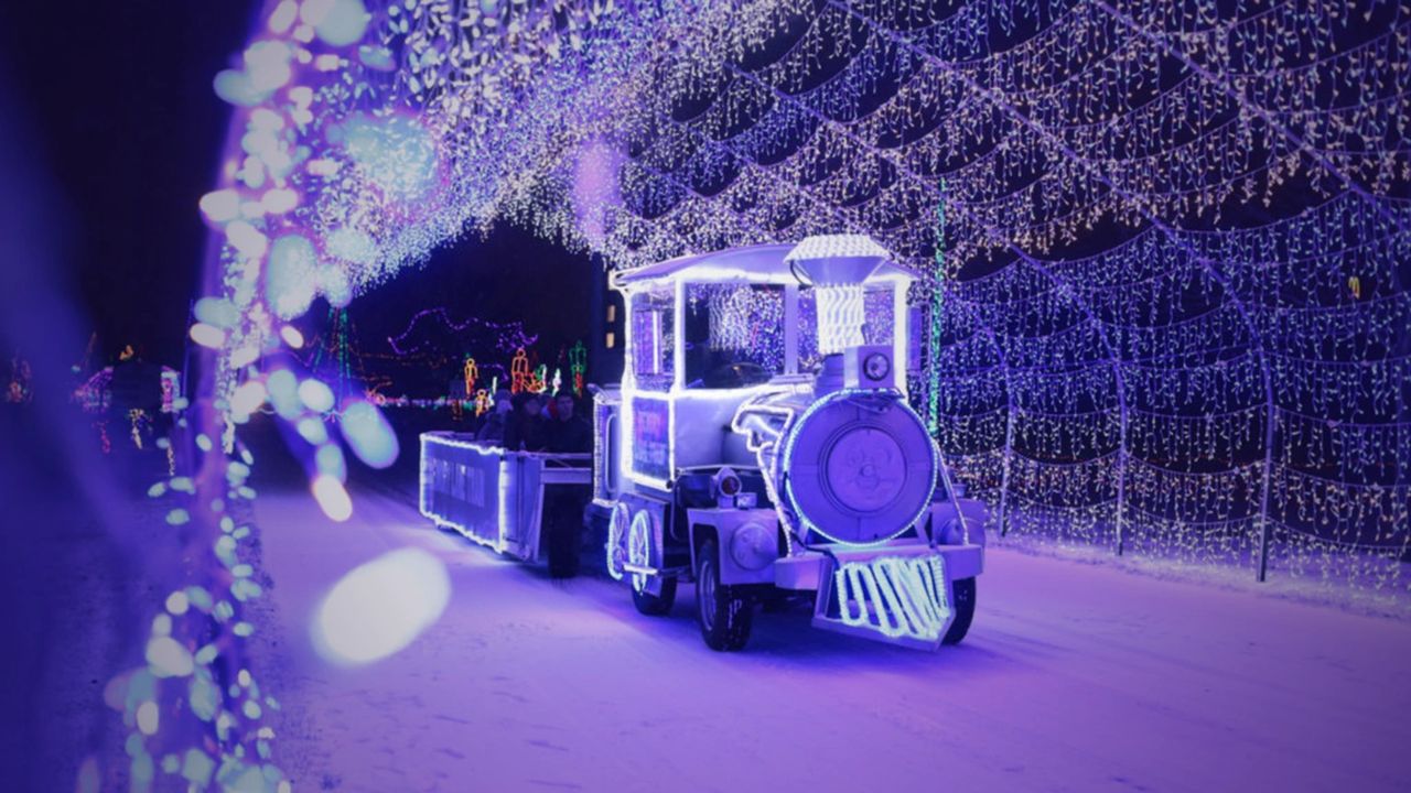 Christmas lite Show