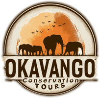 Okavango Conservation Tours