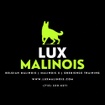 Lux Malinois