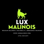 Lux Malinois