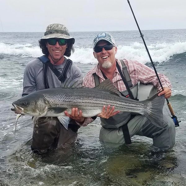 Maine Striper Guide - Fishing Guide, Fishing, Striped Bass Fishing,  Saltwater Fly Fishing