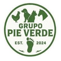 Grupo Pie Verde