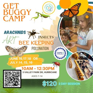 Get Buggy Camp offers kids art, insects, and beekeeping activities.