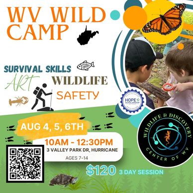 WV Wild Camp offers survival skills, art, wildlife, and safety activities for kids ages 7-14.