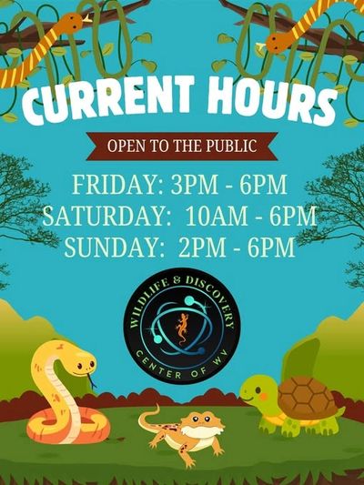 Wildlife &amp; Discovery Center weekend hours with cartoon animals and snakes in vines.
