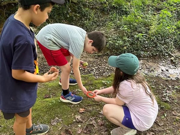 Three children exploring nature with a magnifying glass in a wooded area.